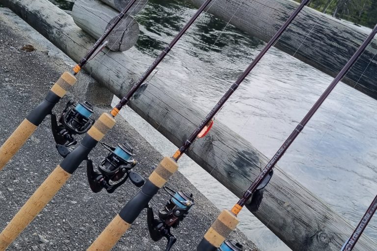 Fishing with a private guide